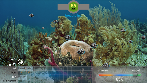 iFeel Relaxing Scenery Screen 3
