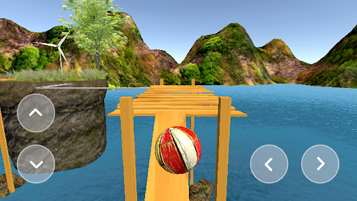 Advance Balancer Balance ball