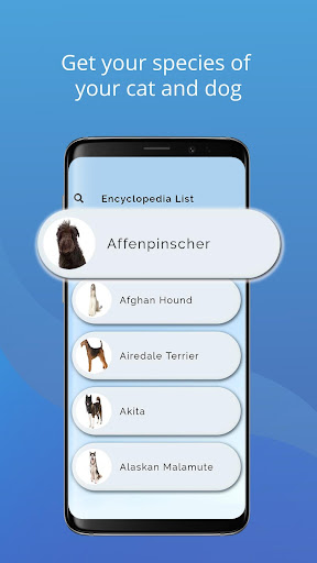 Cat and Dog Encyclopedia