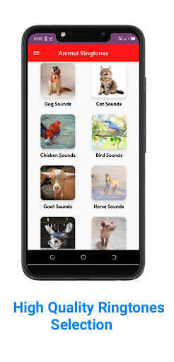 Animals Ringtones Screen 2