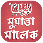 Cover Image of Download মুয়াত্তা মালেক - muwatta imam  APK