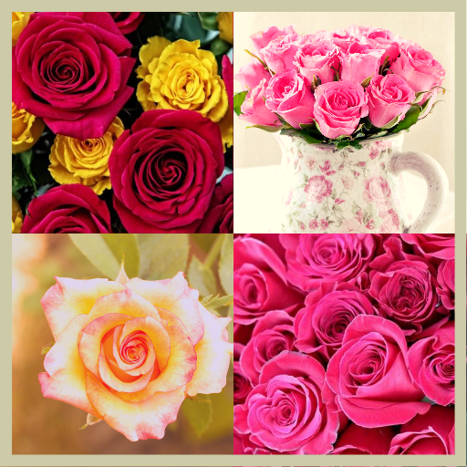 Flowers Wallpaper logo