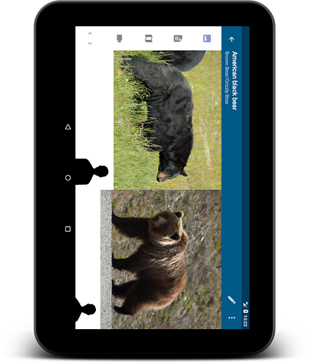 Stuarts North American Mammals Screenshot
