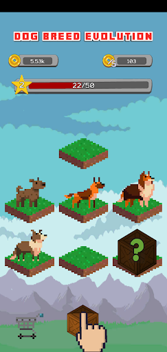 ? Dog Breed Evolution ?