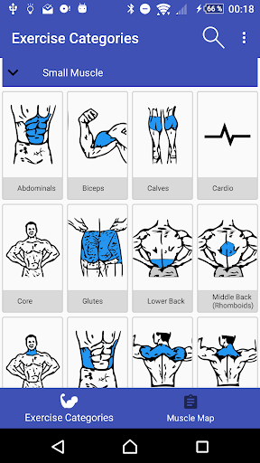 Muscle Map -Exercise & Fitness Screen 2