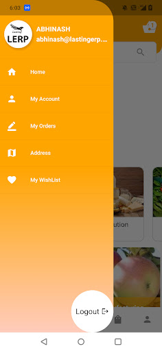 LERP Ecommerce App Screen 3
