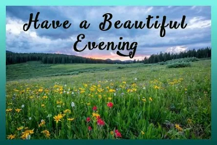 Good Evening Cards Apps On Google Play