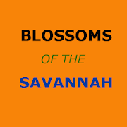 Blossoms of the Savannah Guide
