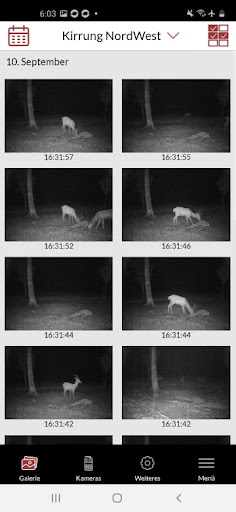 SECACAM Screen 2