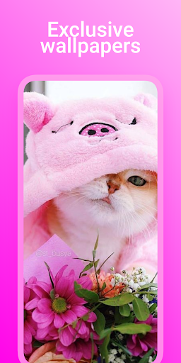 Cute Cat Wallpaper Screen 2