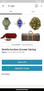 DeJaVu Auctions