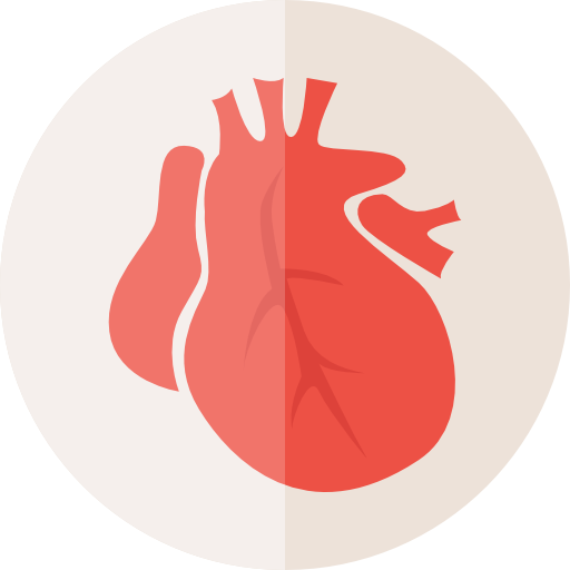 Anatomy Dictionary logo