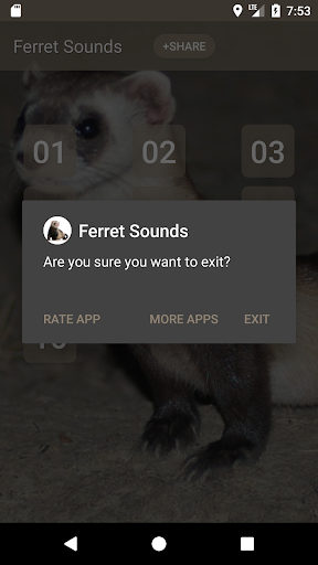Ferret Sounds Screen 3
