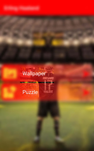 Android application Erling Haaland -Wallpapers screenshort