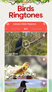Animals Ringtones: Bird Sounds