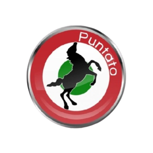 Puntato logo