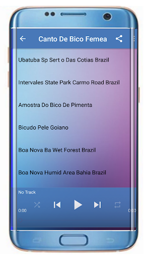 Canto do Bico de Pimenta Fêmea Screen 3