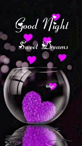 Good Morning and Good Night 2023