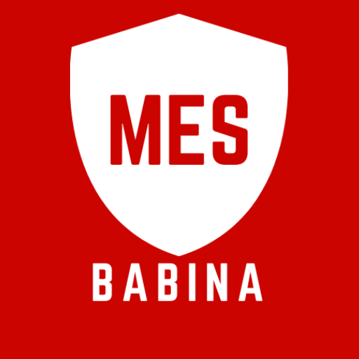 Babina Mes Energy logo