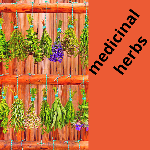 medicinal herbs