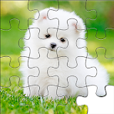 Puppy Jigsaw Puzzle Collection icon