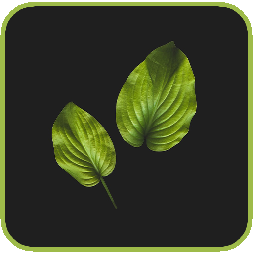 Leaf Hd Wallpaper logo
