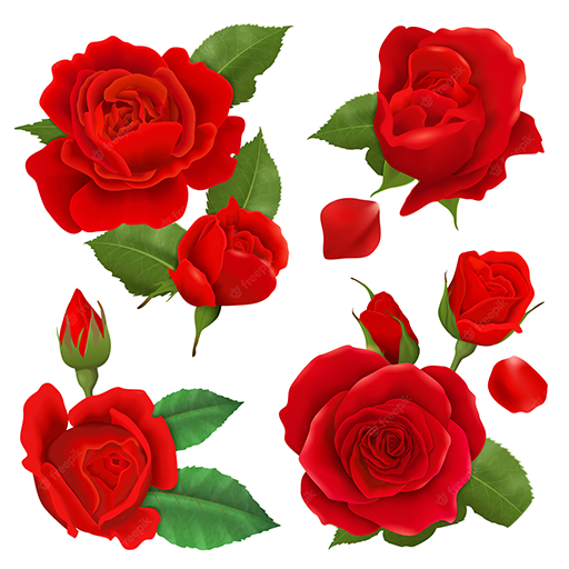 love rose flowers forwasticker Download on Windows