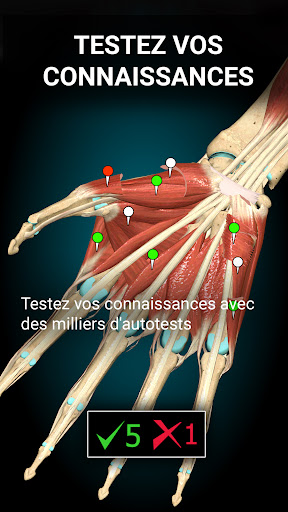 Quels sont les meilleurs livres d'anatomie pour apprendre la médecine ?