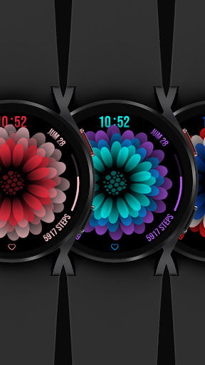 Dahlia Flower Animated 034 Screen 2