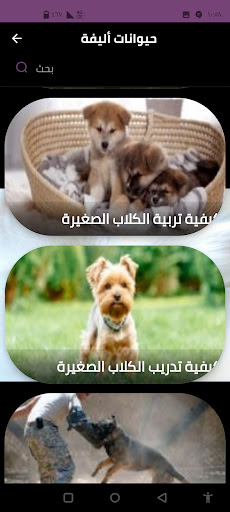 حيوانات أليفة Screen 3