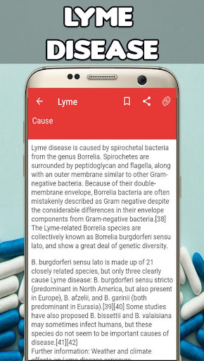Lyme Causes, Diagnosis, and Treatment
