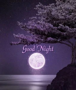 Good Night Images HD GIFs 2023