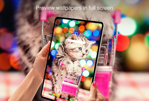 Funny wallpaper offline