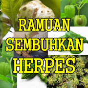 Ramuan Herbal Penyakit Herpes