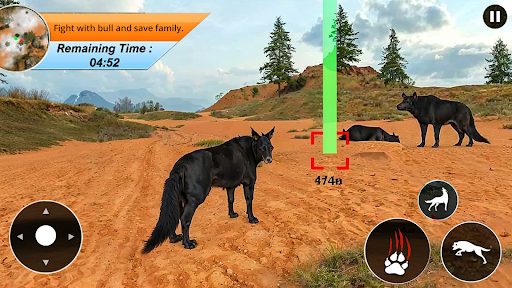 Wolf Family Virtual Adventure