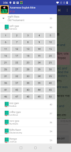 Assamese English Audio Bible