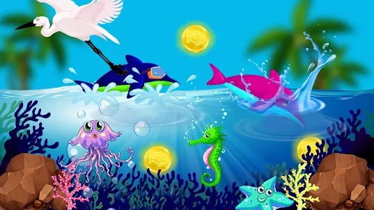 海豚遊戲水上樂園賽車