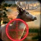 Deer Hunt Wild Classic Safari