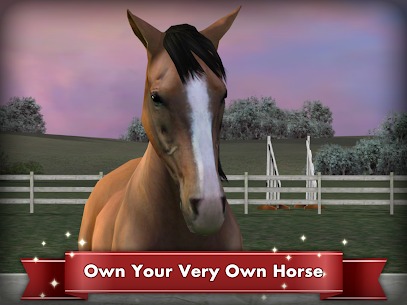 My Horse 1.37.1 MOD APK (Free Shopping) 1