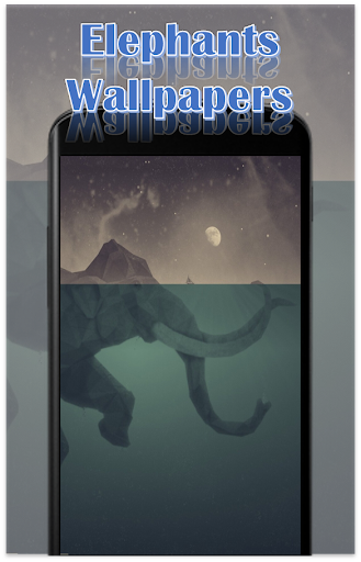 Elephant Wallpapers