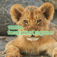 Animals Ringtones