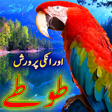 Parrot Care in Urdu icon