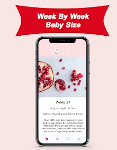 Week By Week Pregnancy App