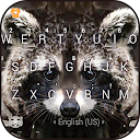 Polygon Raccoon Keyboard Theme