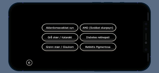 Synssimulator Screen 3