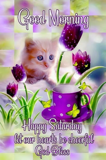 Android application Cards Good morning screenshort