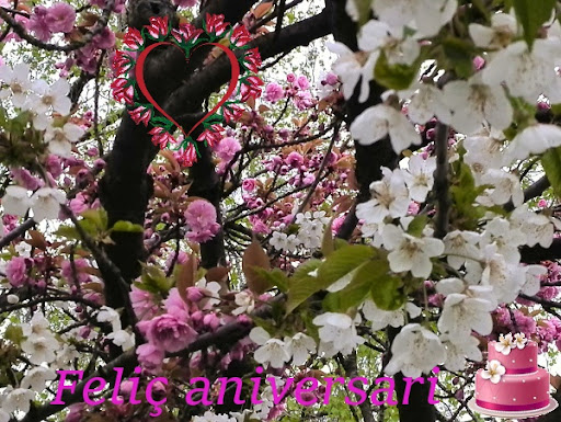 Feliç aniversari