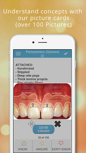 NBDE & iNBDE Dental Boards - P Screen 2