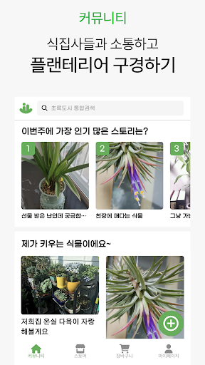 초록도시 – 플랜테리어 커뮤니티 & 식물 마켓 Screen 2