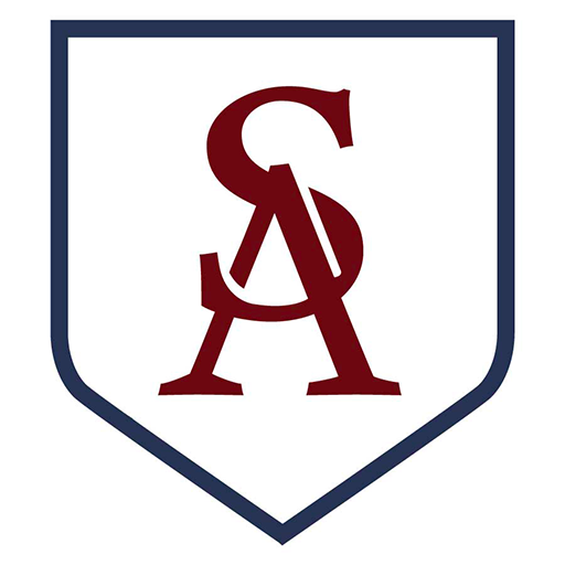 SantAnna Institute logo